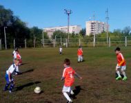 Футбол